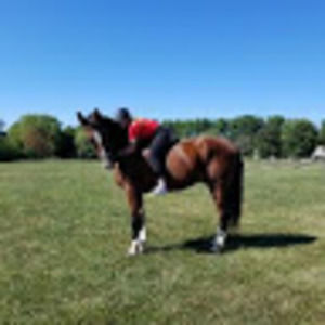 Meet your Posher, Makena